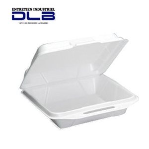 Foam container with large flap
